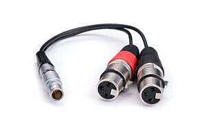 XLR Breakout Cable (input only)