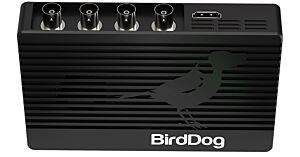 BirdDog 4K QUAD - Four channels of 12G SDI to 4Kp60 NDI Encoding and Decoding